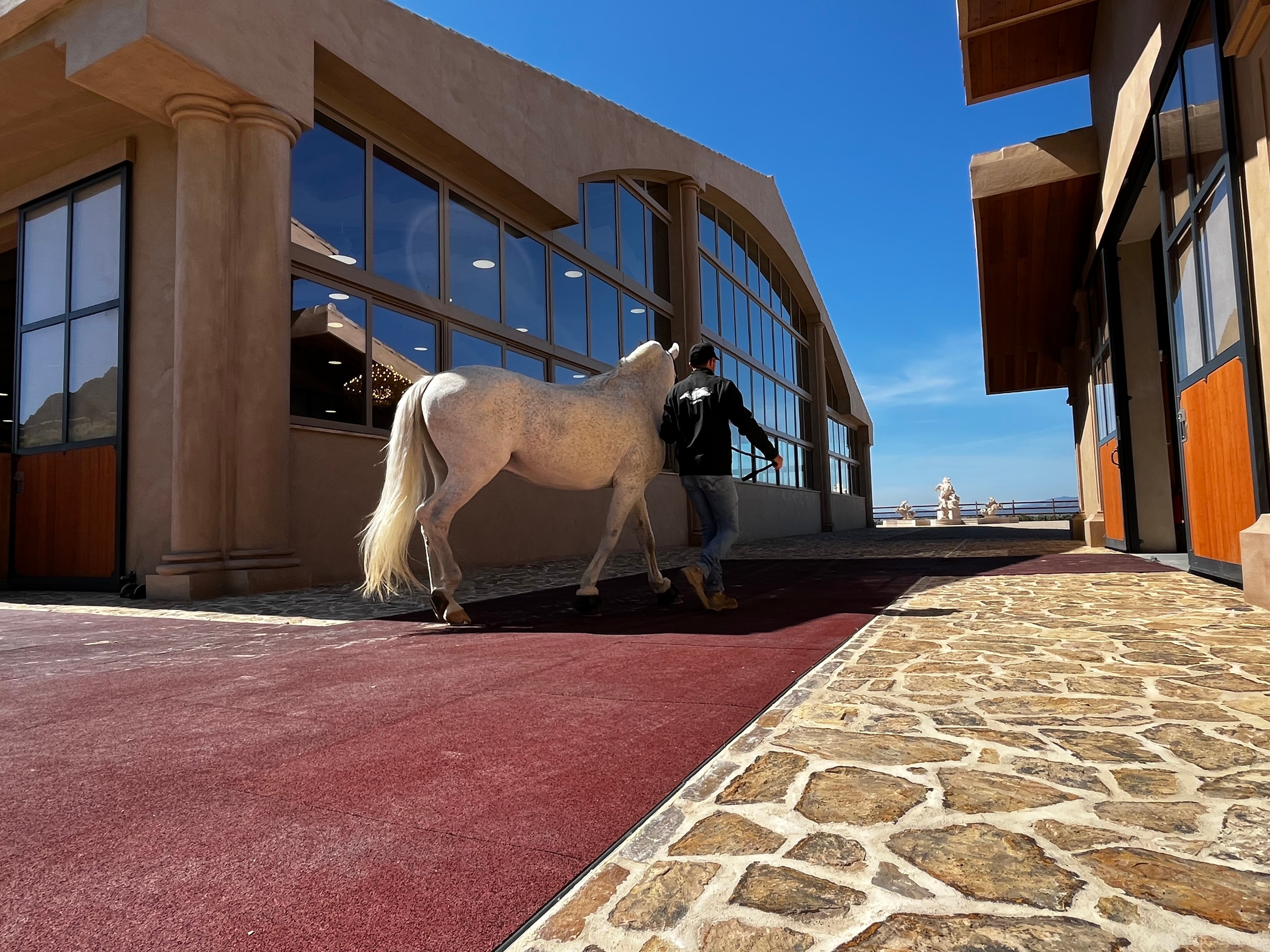 What is the Most Comfortable Horse Stable Flooring? - Regupol Australia Equine