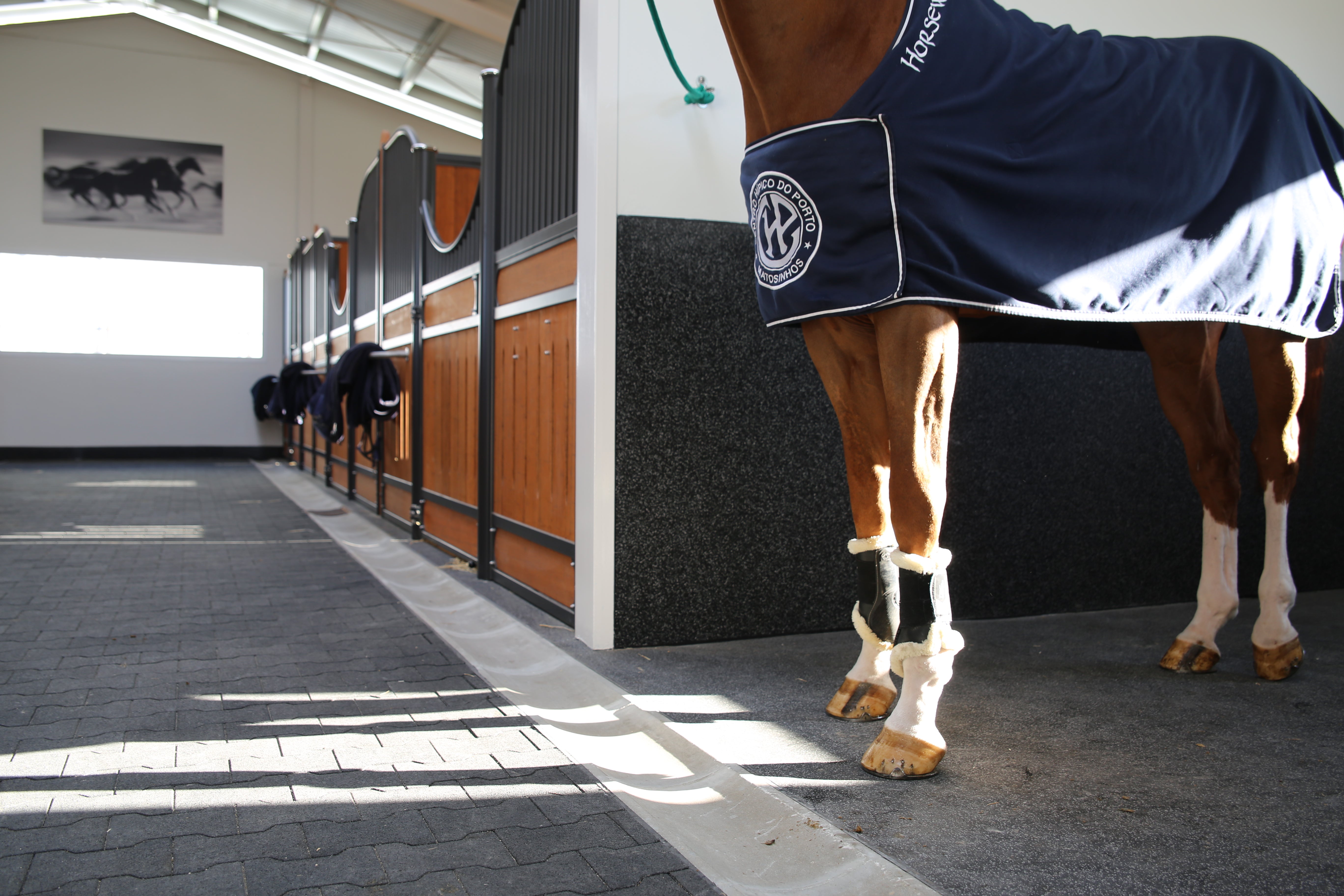 Are rubber horse stall mats worth the investment?