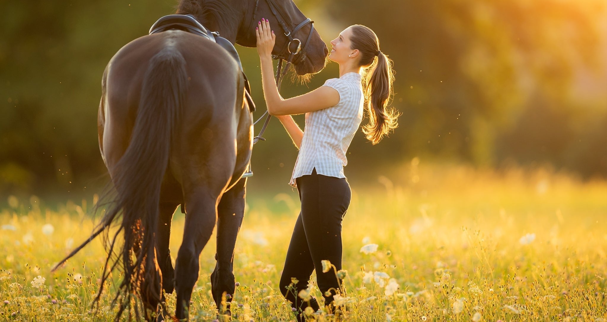 Products - Regupol Australia Equine