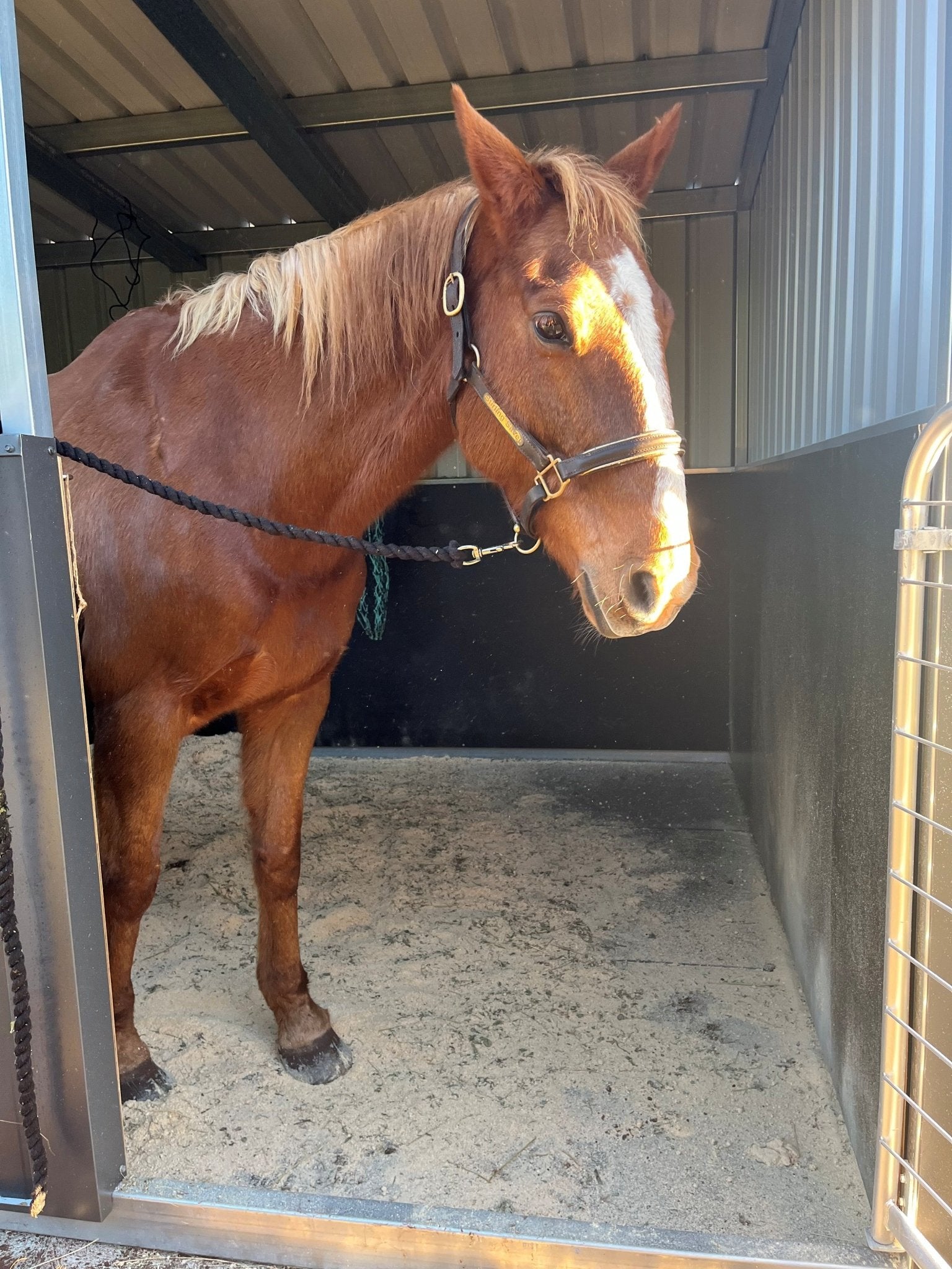 REGUPOL equiline edge (15mm) - Regupol Australia Equine