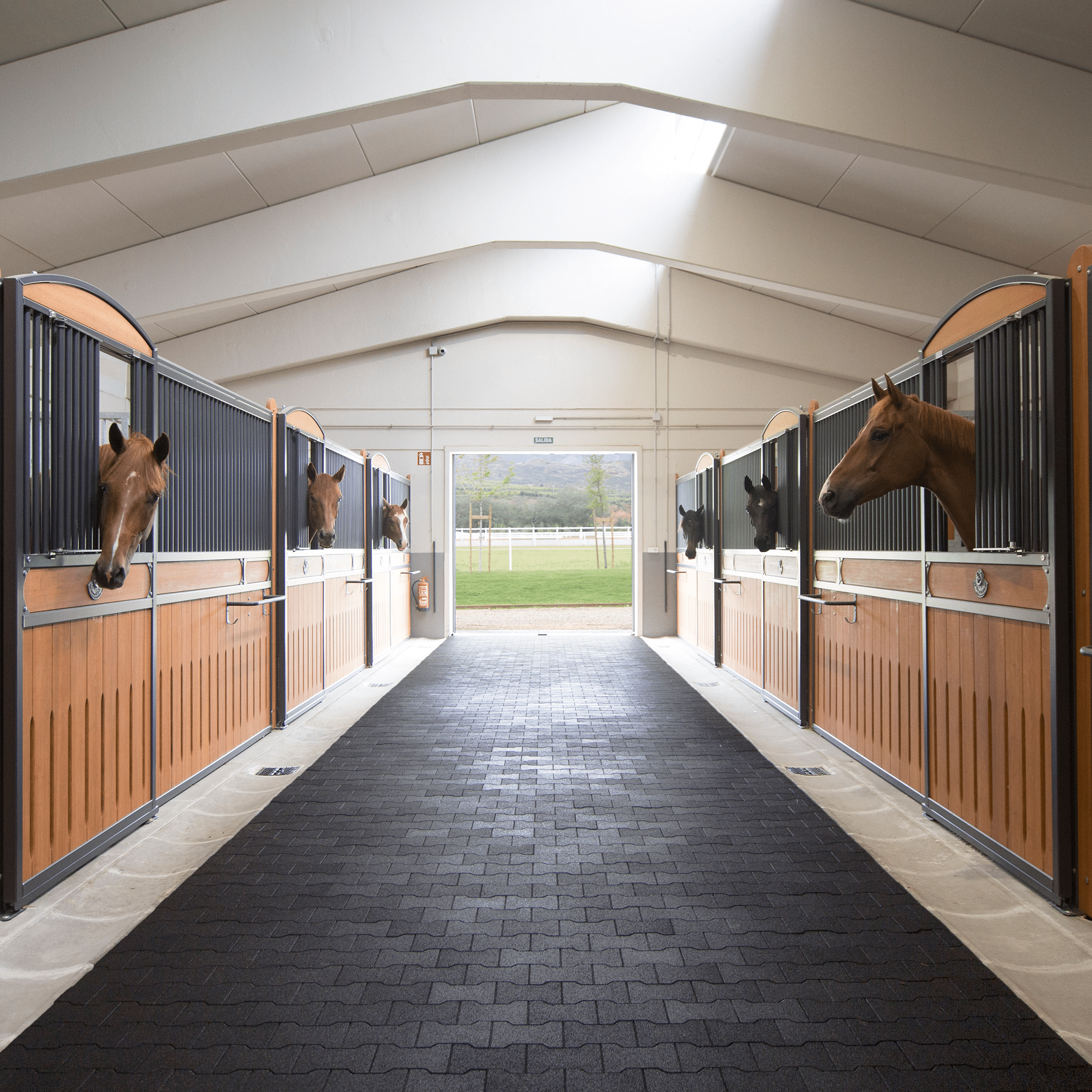 REGUPOL equiline walkway (21mm) Regupol Australia Equine