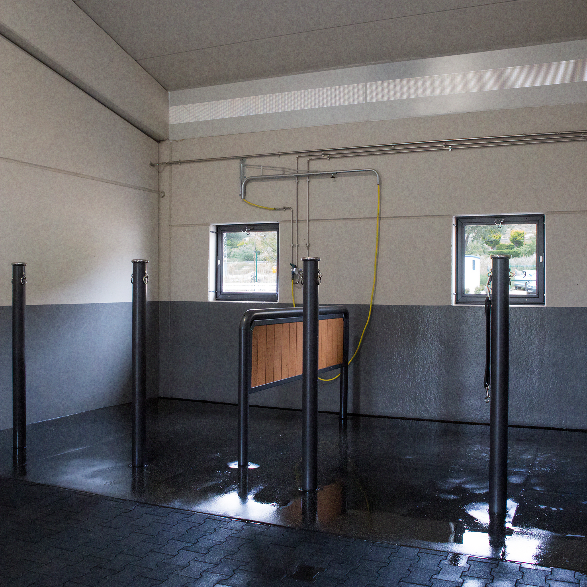 REGUPOL equiline aussie gold (8mm)