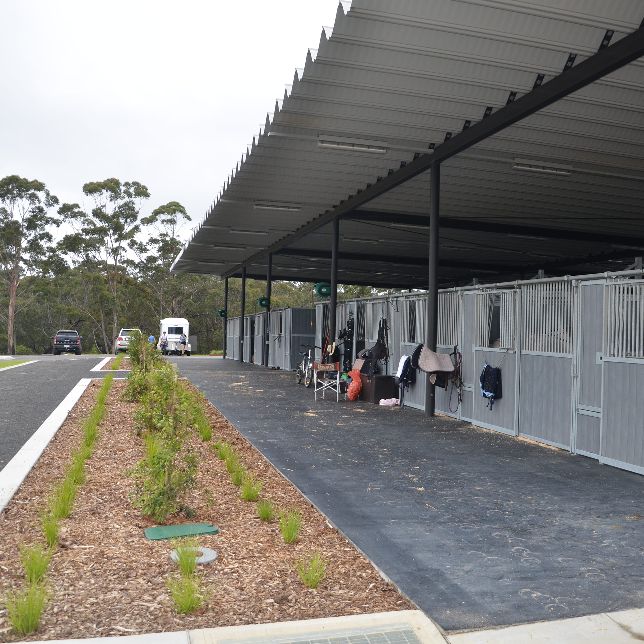 REGUPOL equiline aussie gold (12mm)