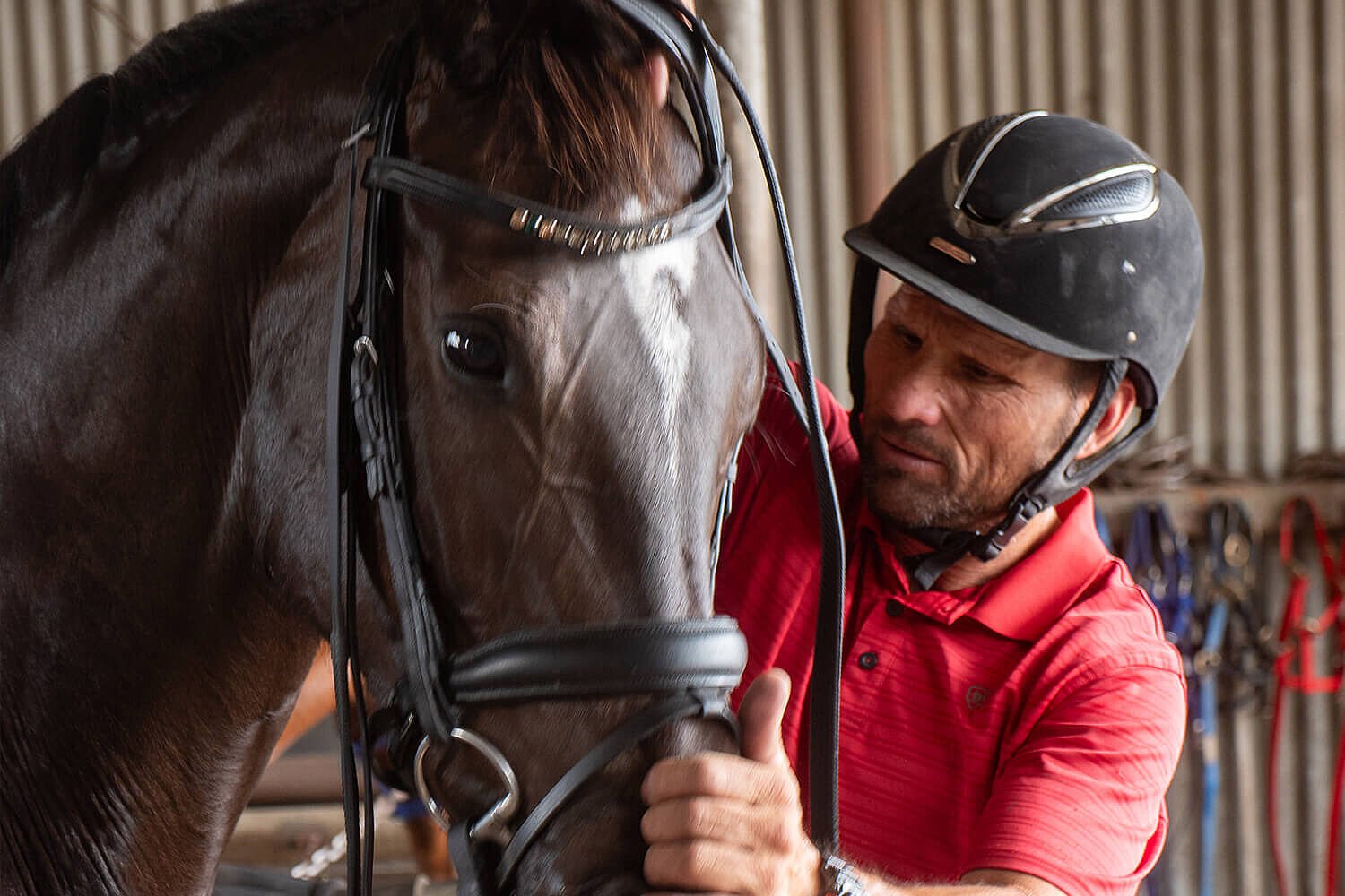 Shane Rose | Three-Time olympic equestrian athlete - Regupol Australia Equine