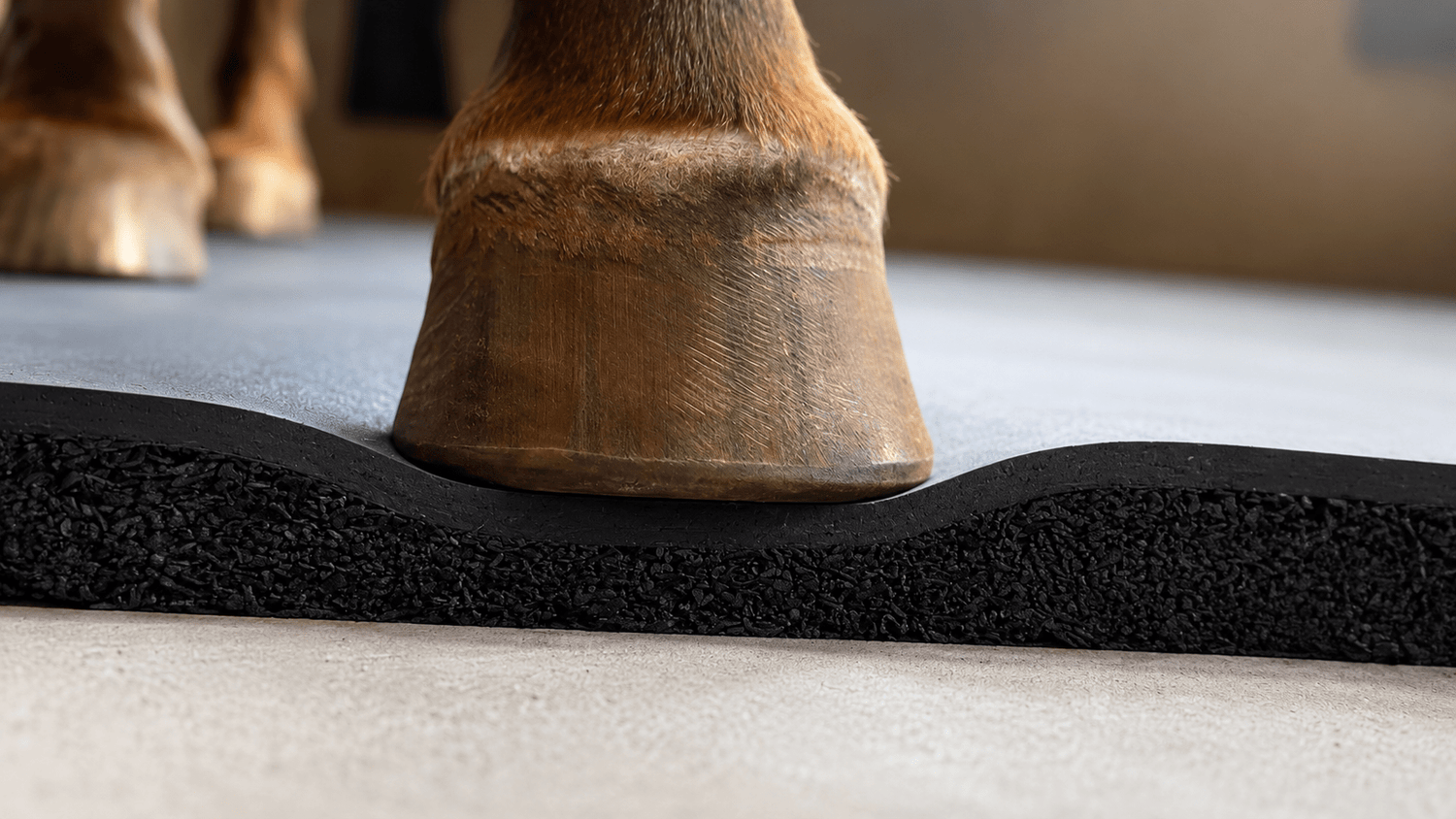 What Is the Most Comfortable Equine Flooring in Australia? - Regupol Australia Equine