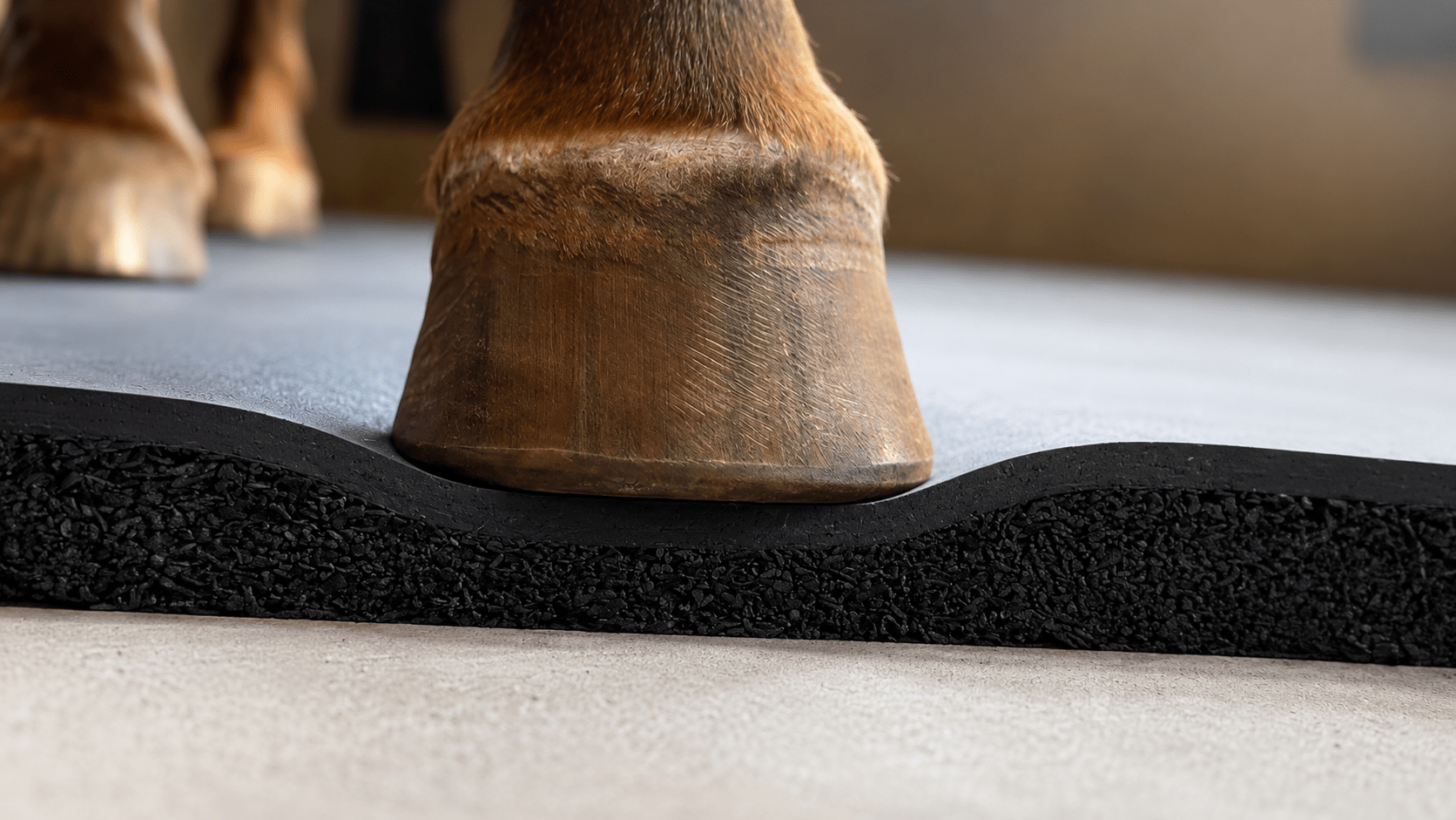 What Is the Most Comfortable Equine Flooring in Australia? - Regupol Australia Equine
