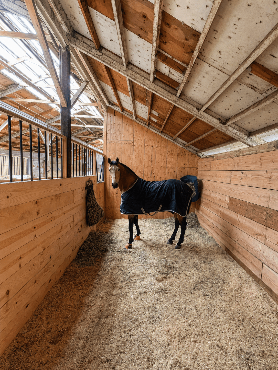How Can I Reduce Bedding Costs in My Horse Stables? - Regupol Australia Equine