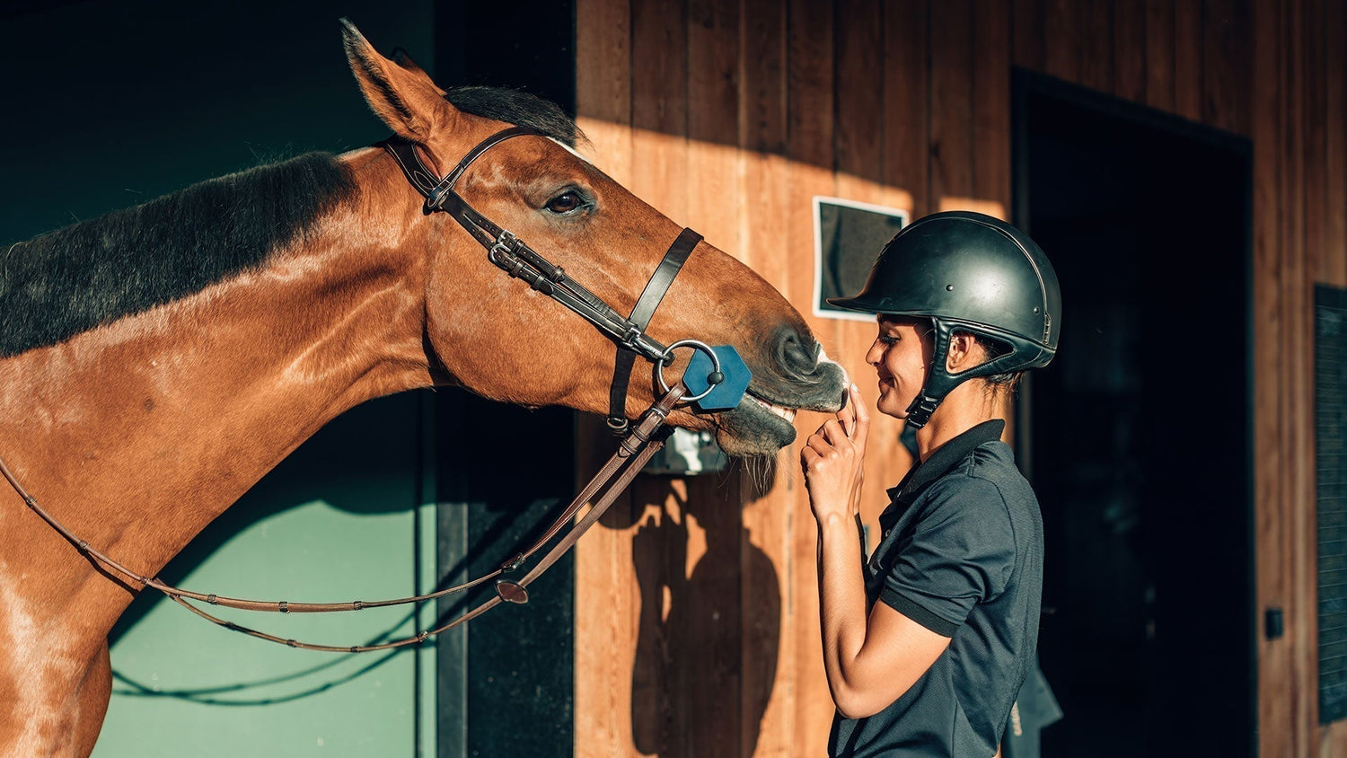 What Is the Best Flooring for Cleaner, Healthier Horse Stables in Australia?